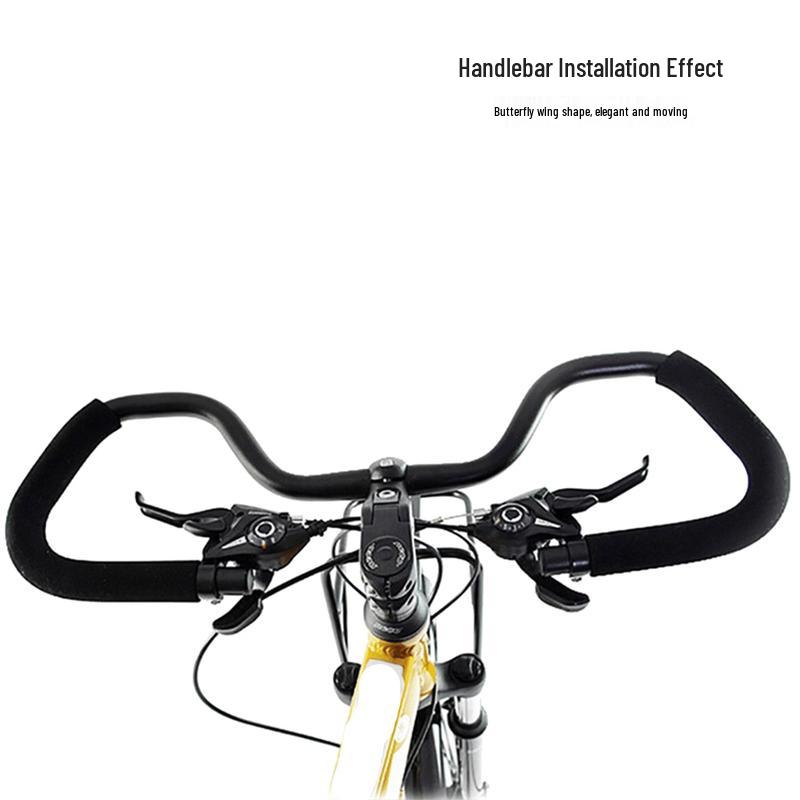 

Lishi Butterfly Handlebar for Touring Bikes
