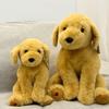 Urocza pluszowa lalka piesek - Złoty Retriever i Husky Towarzysz snu dla dzieci