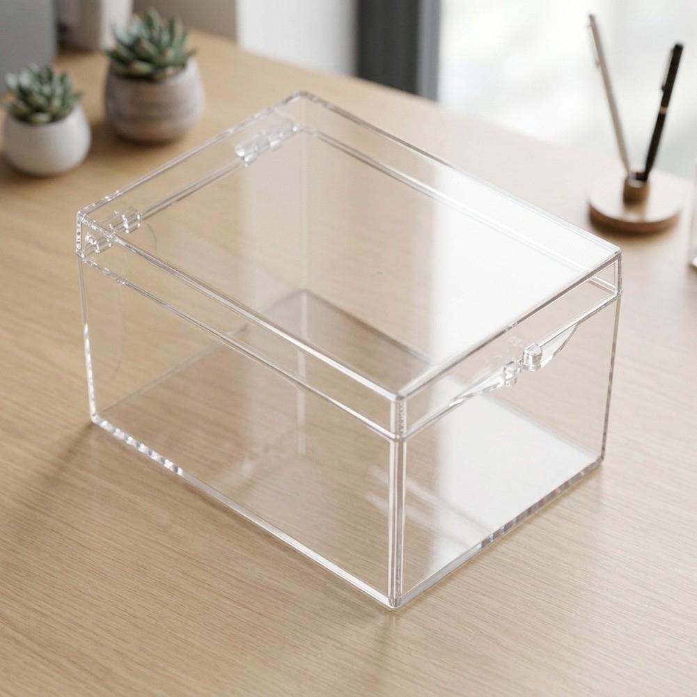 Rectangular Clear Display Box for Insect Specimen Showcase and Jewelry Storage