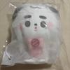 Used NCT127 SOM MOONG CHILL 30cm Plush Jungwoo