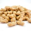 Food Sample Strap Eatable Peanuts 020TS -