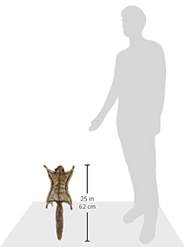BH5855 HANSA Flying Squirrel 35