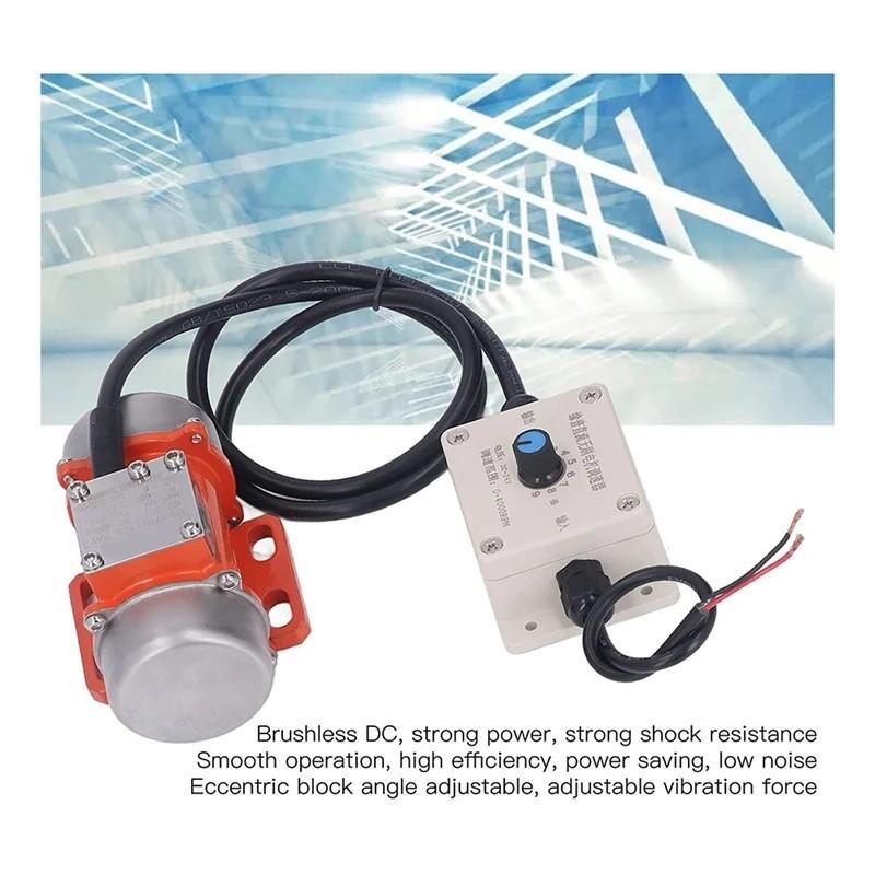 Strong Poewr Brushless Motor DC 12V 24V Electric Engine Concrete Vibrator High Frequency Vibrator Eccentric Motor