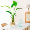 New Plastic Flower Bottle Transparnt Home Decor Aromatherapy Bottle Desktop Glass Flower Vase