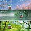 Feeder ,Easy to Clean and Fill, Rain/ ,Attracting Birds , Feeding Station Bird Food Dispenser for