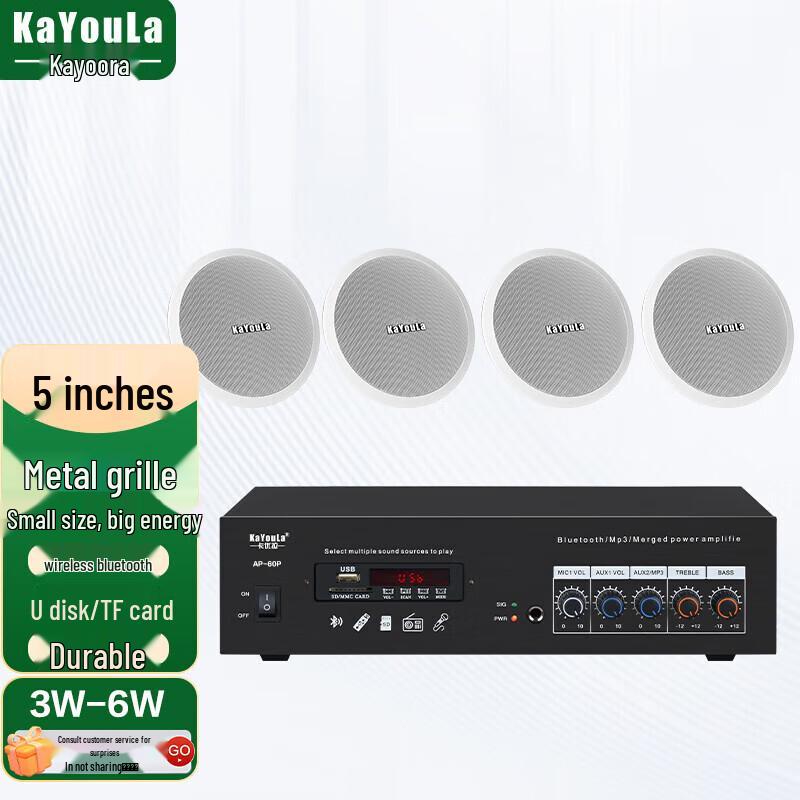 KaYouLa Conference Audio/Video Ceiling Speaker System (CN version)