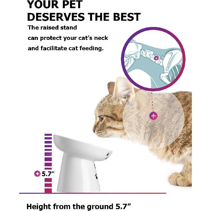 Y YHY Slow Feeder Cat Bowl, Ceramic Cat Slow Feeder Bowl, 6 Inches, Elevated, Anti Vomiting for Dry and Wet Food, White