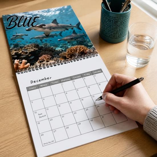 Daily Note Management Calendar with Calendar Sea 2027 Wall Tool Sharks Life Hanging Gift