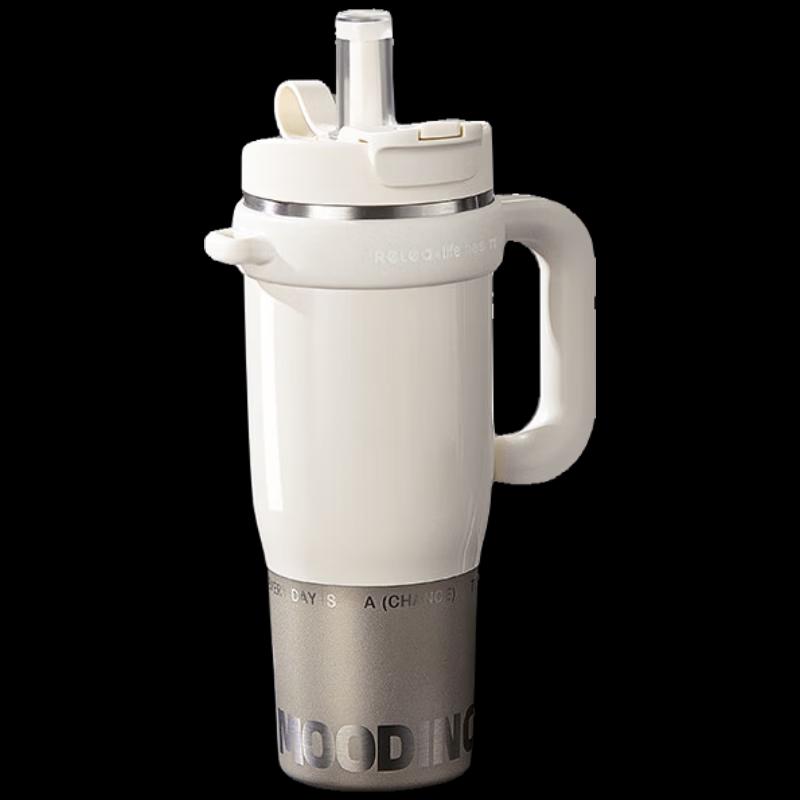 RELEA Mighty Water Guardian 316L Stainless Steel Insulated Thermos with Handle