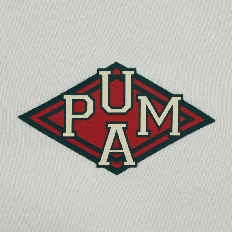 Puma Casual Sports Hoodie Men hoodies Off-White 632527-92