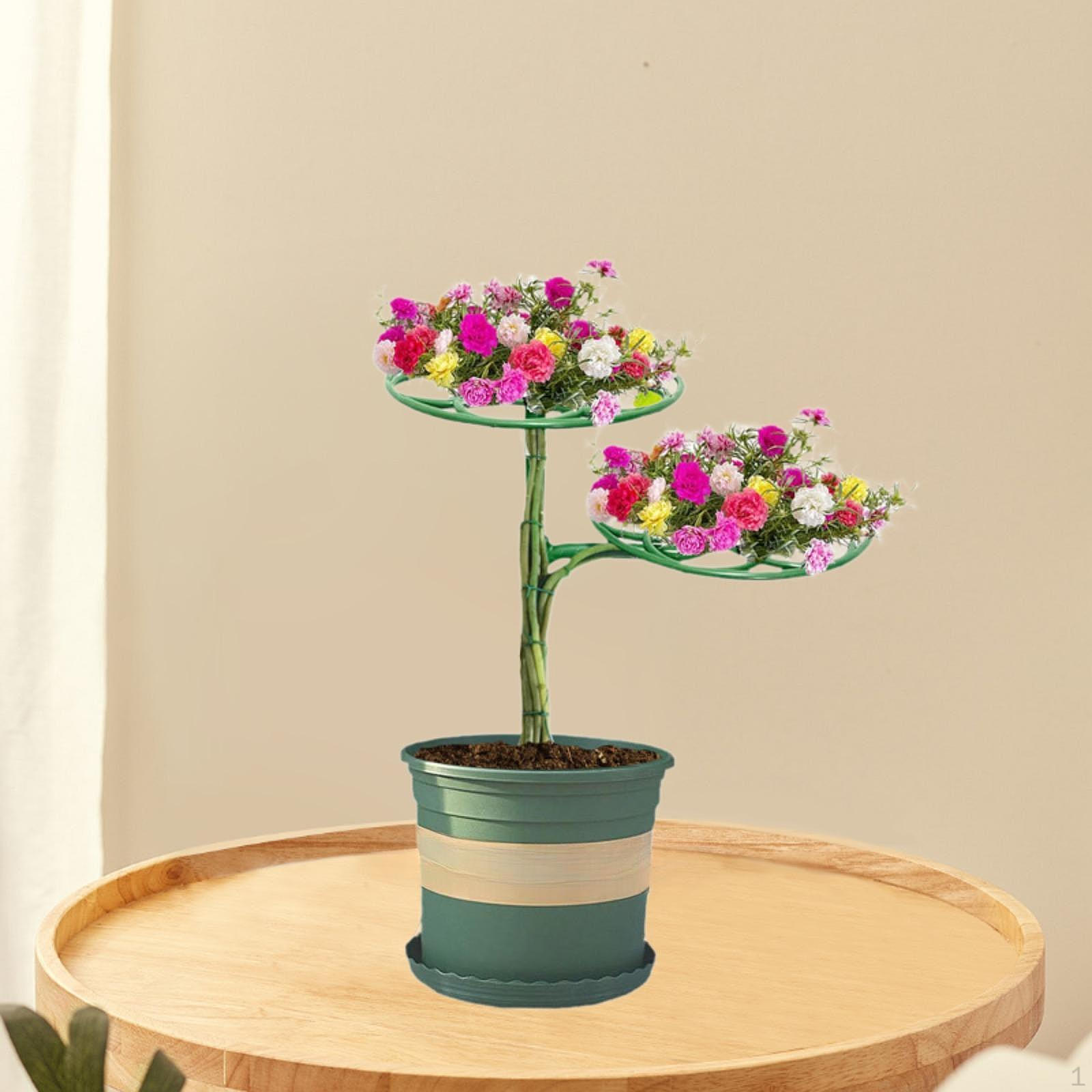 

Набор садовых опор для растений для поддержки цветов и виноградных лоз 2 Tier with Wire