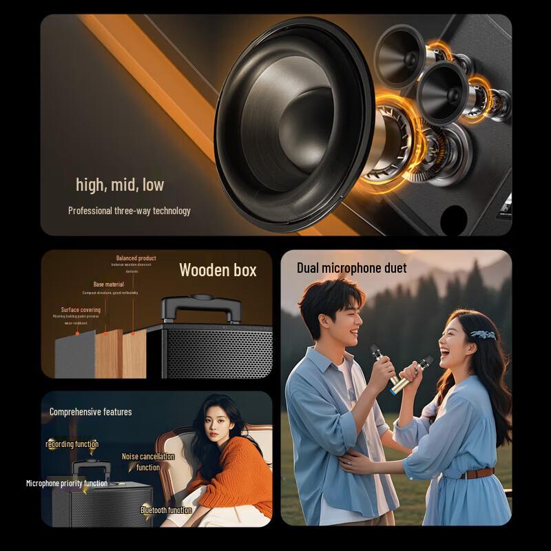 Soaiy 8-inch Portable Outdoor KTV Speaker