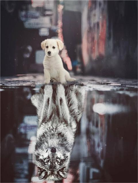 Broderie cu diamante 5D cu punct de cruce Wolf Diamond Art Painting Mozaic alb-negru Cadou lucrat manual