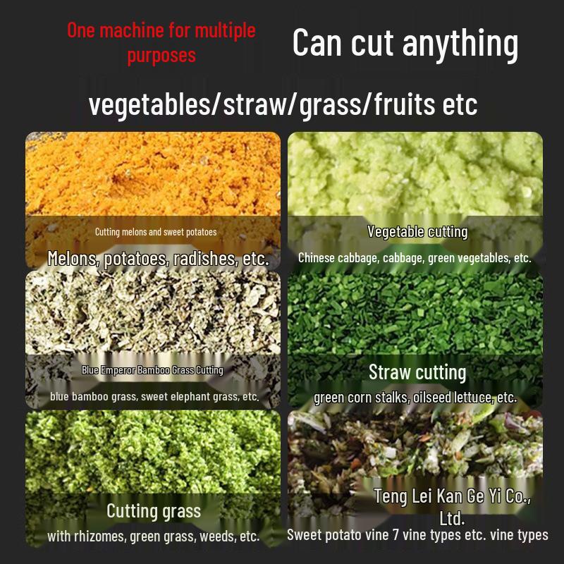 Stainless Steel Vegetable & Grass Chopper and Chicken Feed Grinder