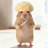 Wool Crochet Mini Hamster Wool Hat Handmade Pet Costume Knitted Hamster Hat  Small Pet Supplies