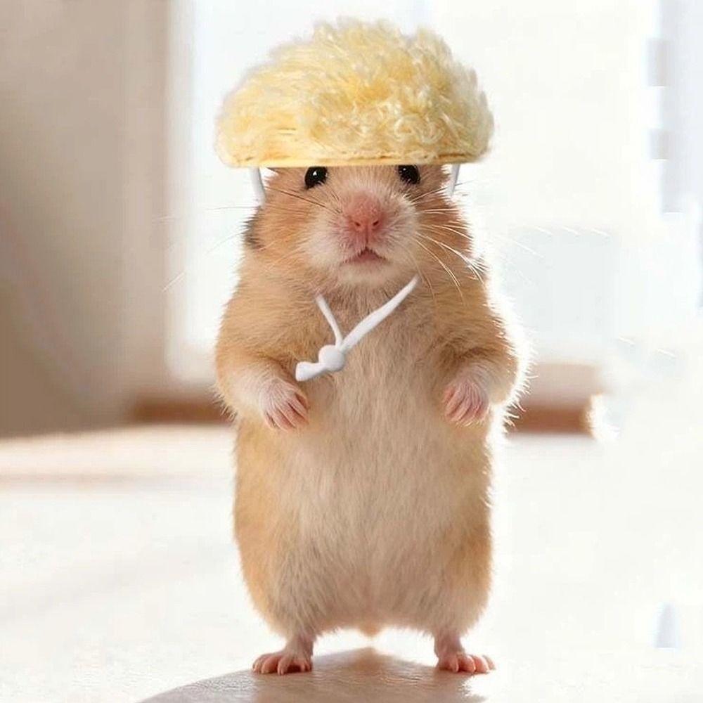 Wool Crochet Mini Hamster Wool Hat Handmade Pet Costume Knitted Hamster Hat  Small Pet Supplies