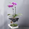 Vaso de Flores Wenzhu para Interior, Escritório, Sala de Estar, Mesa, Ferro Forjado, Arranjo de Flores Suspenso, Vasos de Resina para Rochas, Paisagismo