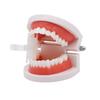 Dental Soft Silicone Bite Blocks Mouth Prop Opener Retractor for Dentist Intraoral Support Dentistry Material