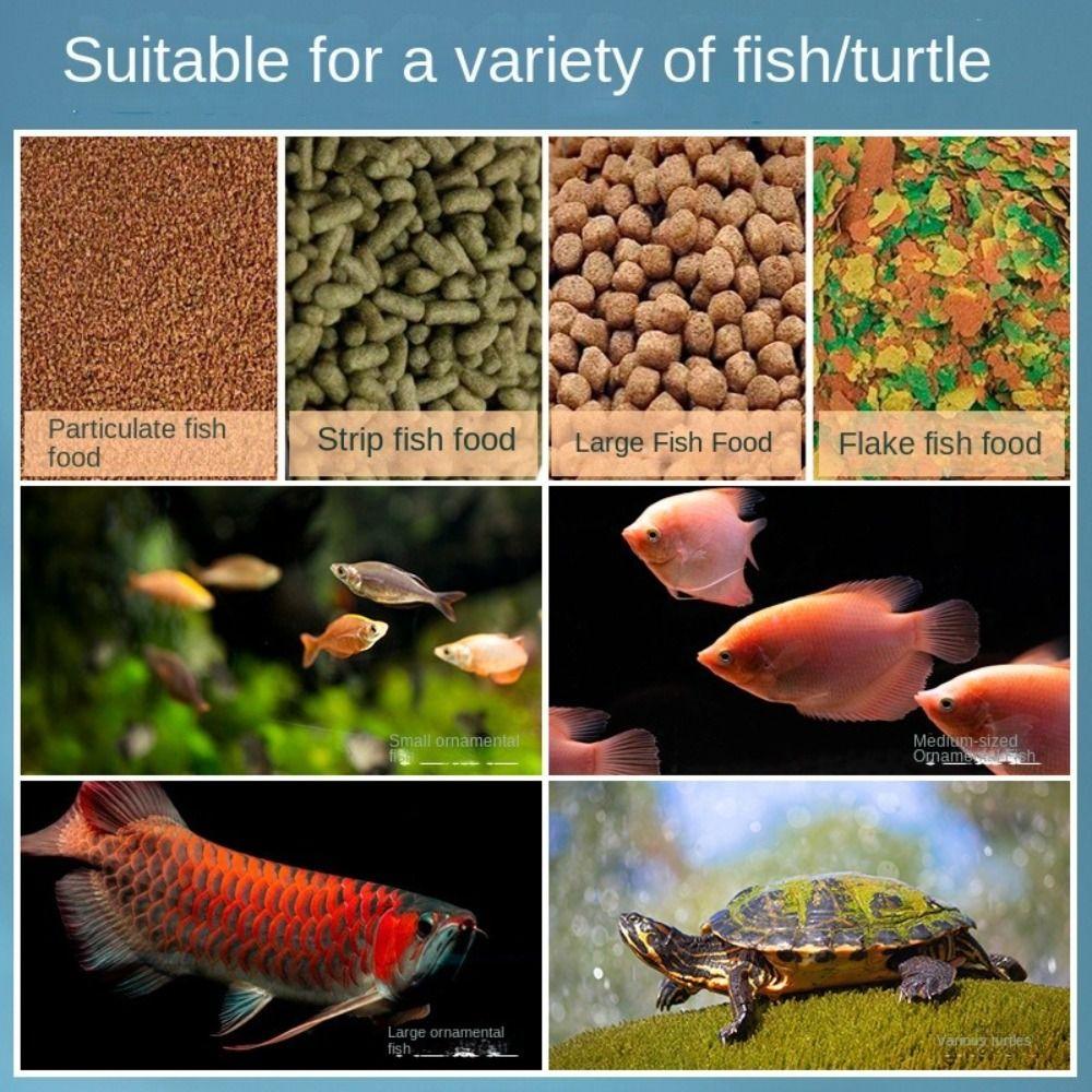 Intelligent Timing Automatic Fish Tank Feeder Dual Anti Blocking Large Capacity Electric Fish Feeder Moisture-proof