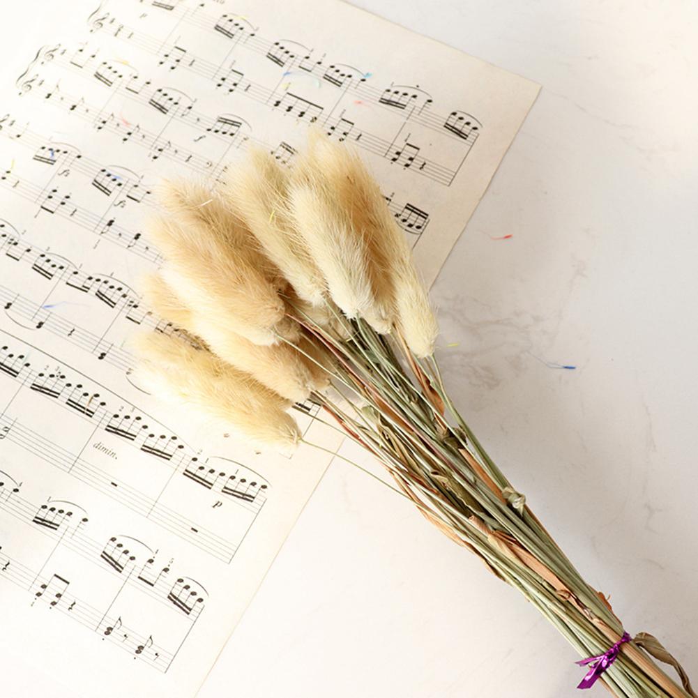 30 ks Barevné Králičí Ocasy Sušené Květiny Literární Styl Květinová Aranžmá Přírodní Kytice Králičích Ocasů Pro Večírek Domácí Dekoraci