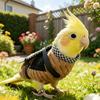 Yousheng Draagbare Vogelkooi Tas, Zachte Papegaai Transporttas Vogel Luier, Anti-ontsnapping Vogel Tas Tuigje, Willekeurige Kleur, Dagelijkse Buitenwandeling Transporttas voor Kleine