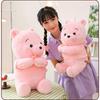 Cute Pink Teddy Bear Plush Toy For Birthday And Holiday Gifts Wholesale From Manufacturer