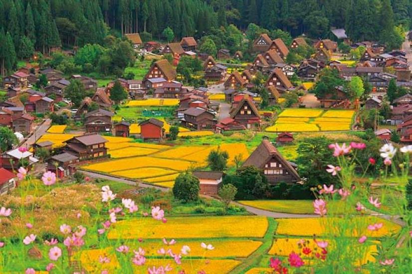 

APPLEONE 1000-865 Cosmos Swaying in Shirakawa-go (Gifu Prefecture) 1000-Piece Jigsaw Puzzle (75 x 50 cm) Made in Japan