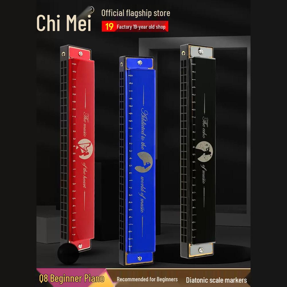 24-Hole C Tone Harmonica - Beginner to Adult Double Reed Mouth Organ Playing Guide