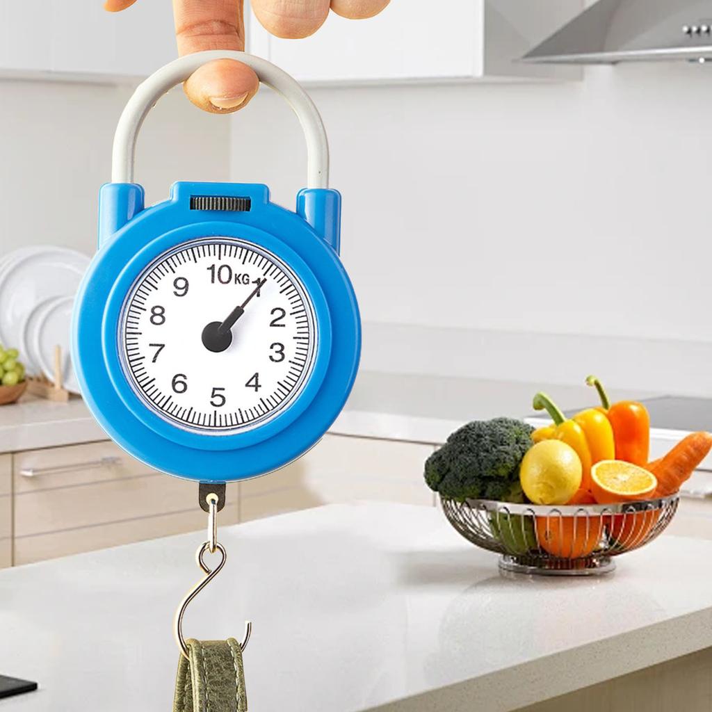 Handheld Scale High Accuracy Portable Kitchen Spring Scale 22lb Load Capacity Small Food Weighing Scale for Household