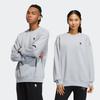 Adidas Neo Solid Color Print Small Logo Fleece-Lined Sweatshirt Unisex Tops Grey HY9655