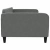 Vidaxl Sofa With Sleeping Function, Dark Gray, 100X200 Cm, Upholstered In Fabric