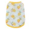 Fruit Series Dog Vest: Watermelon, Lemon, Cherry Designs
