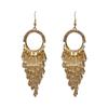 Exquisite Quastenohrringe mit Silbernadel und Diamanten: Europäischer & Amerikanischer Stil, Trendig, Auffällig & Einzigartiger Ohrschmuck für Frauen