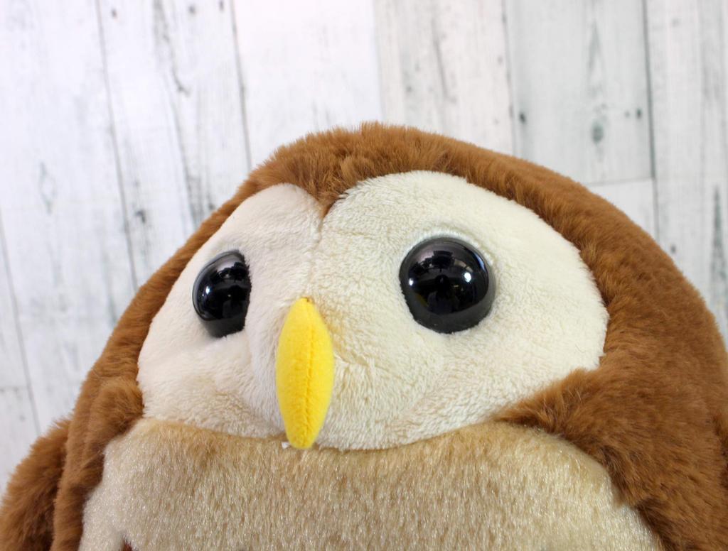 Take Off Lucky Owl Music Box Medium Brown [Used]