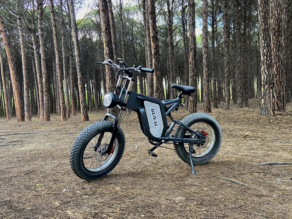 GUNAI MX25 Electric Bike 1000W Motor, 25AH Battery, 60KM Range, 50km/h Speed, 20*4.0 Inch Fat Tires, Hydraulic Oil Brake E-Bike