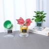 Vaso de Flores Hidropônico Preguiçoso Vaso de Flores com Absorção Automática de Água Vaso de Flores de Plástico Transparente Auto-Regável Decoração de Mesa de Escritório