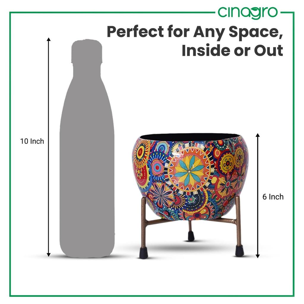 Pots for Plants, Plant Pots for Home Decoration, Succulent Pot, Indoor Planter Garden Decor (Size: 6X6 inch) Style: Mandala Fusion Spectrum