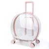 Sac Chien Chat Animal de Compagnie Boîte Trolley Transparente Respirante Porteurs Portables Sacs de Voyage Porté à la Main Aircase Pour Chiens Chats Sortie