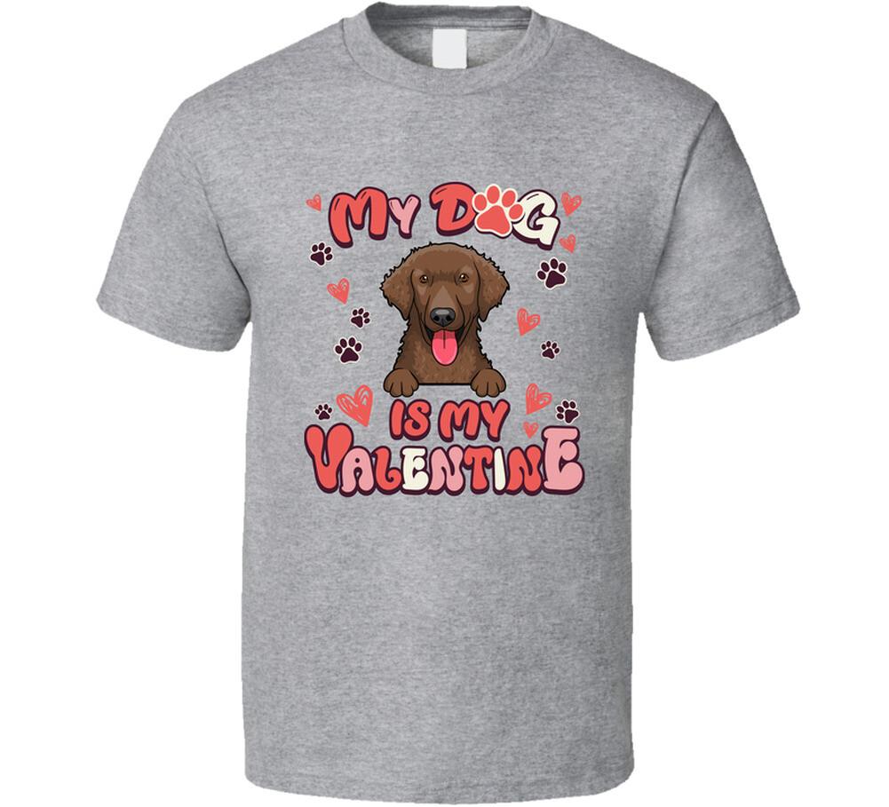 Curly Coated Retriever My Dog Is My Valentine Funny T Shirt Mens Womens Tees Top M