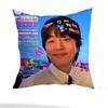 Customize G-Gong Yoo  Pillow Case Anti-dustmite Pillowcase Invisible zipper silky short plush Sofa cushion cover
