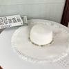 Summer Sun Protection Big Brimmed Straw Hat Women's Versatile New Sun Hat Anti UV Face Shading Sun Hat