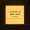 RJW Industrial Integrated 595x595 LED Flat Panel Ceiling Light