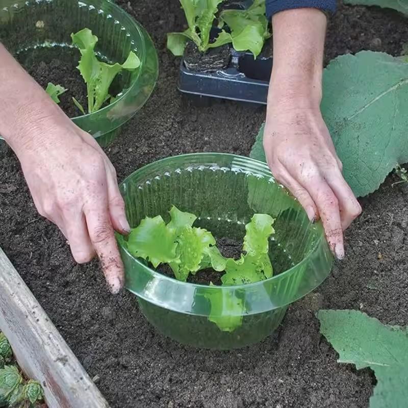 5/10/15/20 szt. Kołnierze ślimakowe Kołnierze ochronne na rośliny ślimakowe Pokrywy na warzywa Wielokrotnego użytku Rolnicze Ochraniacze na rośliny ślimakowe Oszczędzaj wodę