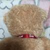 [USED] Steiff Kim 65cm Plush Teddy Bear, Used