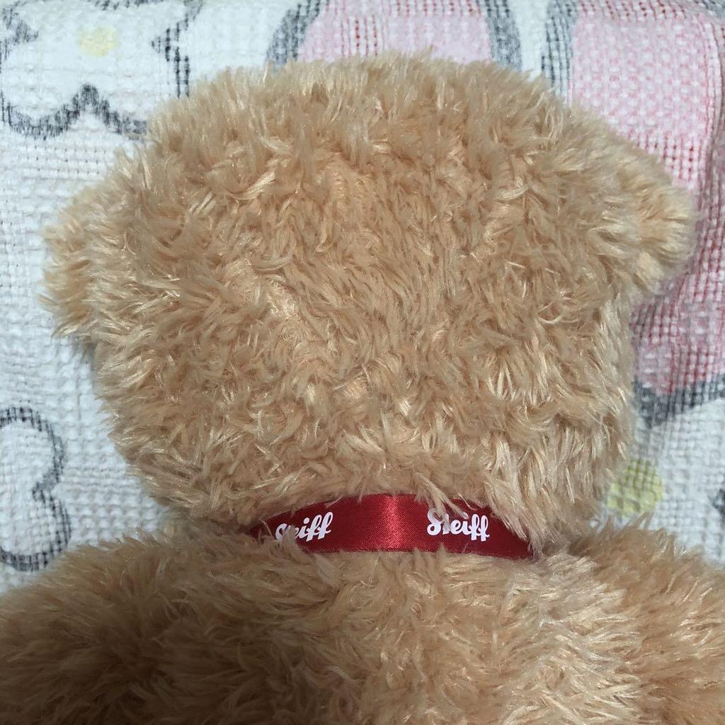 [USED] Steiff Kim 65cm Plush Teddy Bear, Used