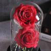 Eternal Double Rose In Glass Led Gift