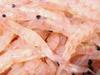 Fischköder Hamaichi Krill 3kg Block <Gefrorener Köder> [Köder & Komase] [Größe L] (Rohtyp) [Gefroren]