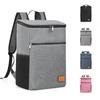 Leakproof Backpack Cooler Bag Large Capacity Camping Carrying Bag Insulated Lunch Bag Lunch Carry
