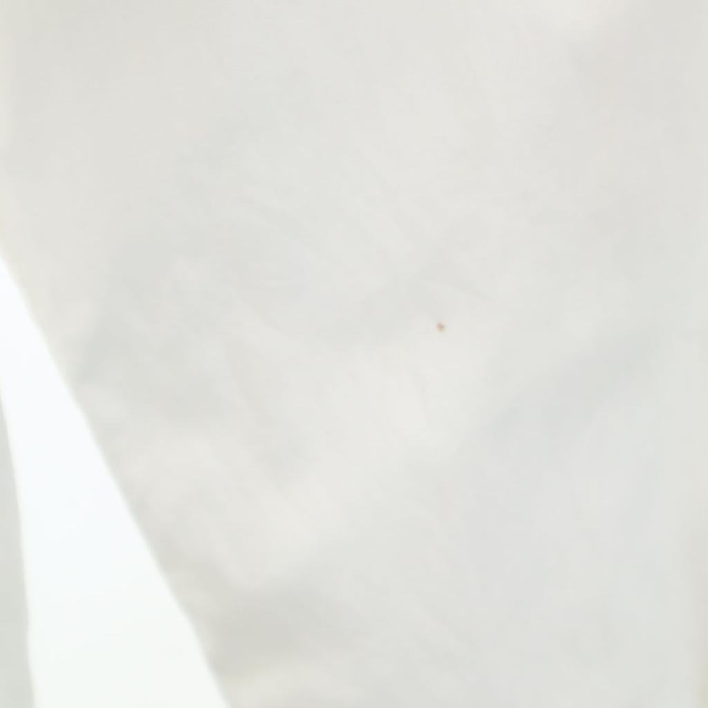 60s vintage Long sleeve Frill shirt white Men's Used