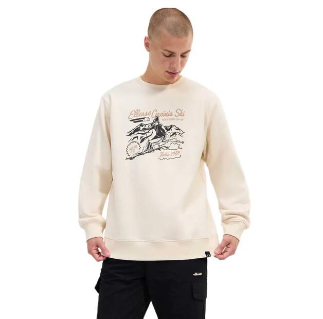 

Ellesse Denali свитшот M